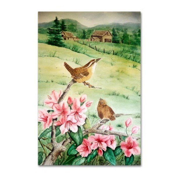 Arie Reinhardt Taylor 'Carolina Wren' Canvas Art, 16x24, Trademark Fine Art, Mfr#: ALI15542-C1624GG